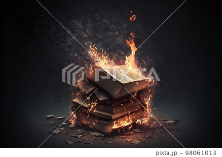 Books burning in bonfire 98061013