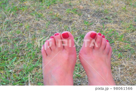 Female feet with red pedicure on grass Female feet with red pedicure on grass 98061566