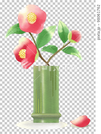 椿の花の水彩イラスト 竹の一輪挿しのイラスト素材 [98061762] - PIXTA