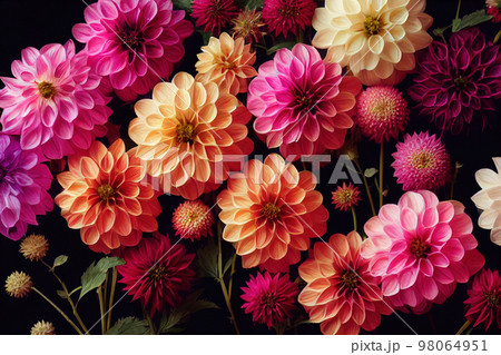 Dahlia flower banquet beautiful spectacular flower arrangement background 98064951