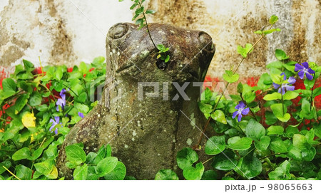 toad or stone frog, as a fountain, surrounded by plants and vegetation with flowers, stone sculpture toad or stone frog, as a fountain, surrounded by plants and vegetation with flowers, stone sculpture 98065663