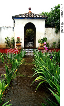 entrance to an old mexican house, with a path of plants, arched entrance, tiles and vegetation, mexico 98065664