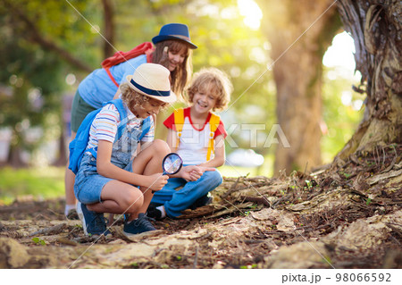 Kids explore nature. Children hike in sunny park. 98066592
