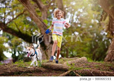 Child and dog walk in summer park Child and dog walk in summer park 98066593