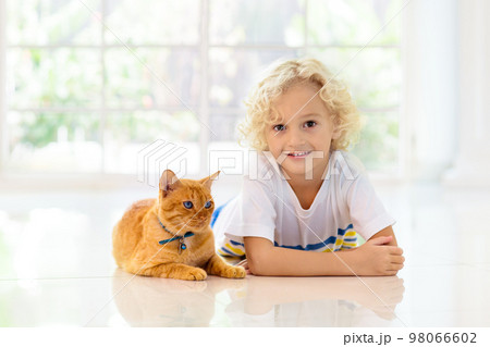 Child feeding home cat. Kids and pets. 98066602