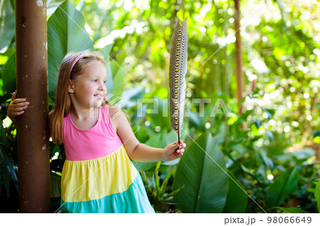 Child playing with bird feather. Kid at zoo. Child playing with bird feather. Kid at zoo. 98066649