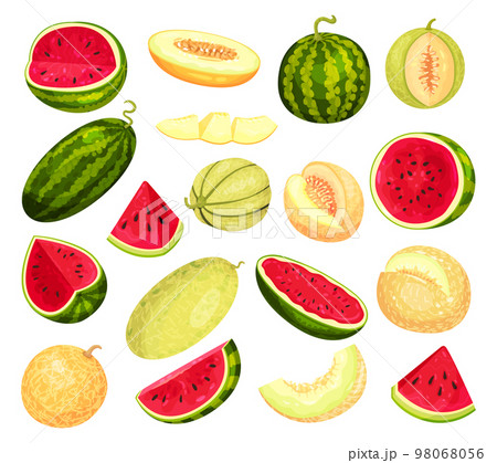 Fresh, juicy melon and watermelon whole and slices set. Tasty ripe fruit vector illustration Fresh, juicy melon and watermelon whole and slices set. Tasty ripe fruit vector illustration 98068056