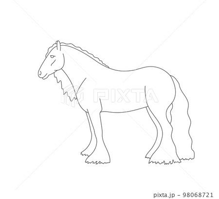 Irish cob horse, side view, linear contour for coloring 98068721