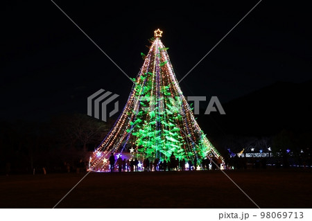宮ケ瀬湖ジャンボクリスマスツリー 98069713