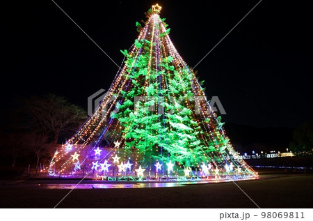 宮ケ瀬湖ジャンボクリスマスツリー 98069811