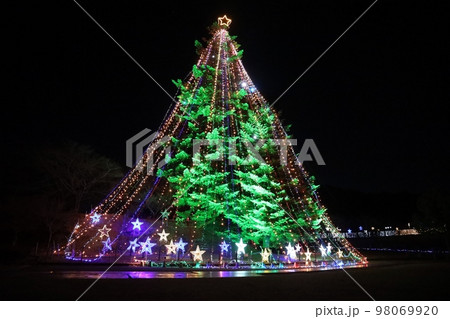 宮ケ瀬湖ジャンボクリスマスツリー 宮ケ瀬湖ジャンボクリスマスツリー 98069920