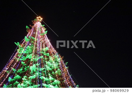 宮ケ瀬湖ジャンボクリスマスツリー 宮ケ瀬湖ジャンボクリスマスツリー 98069929
