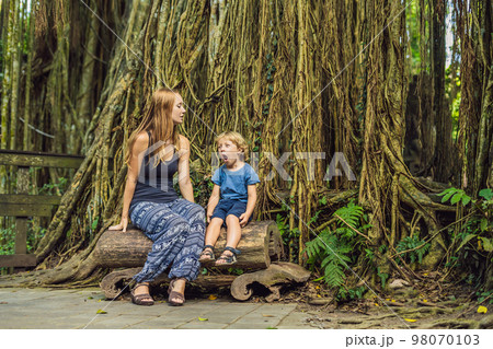 Mom and son travelers discovering Ubud forest in Monkey forest, Bali Indonesia. Traveling with children concept 98070103