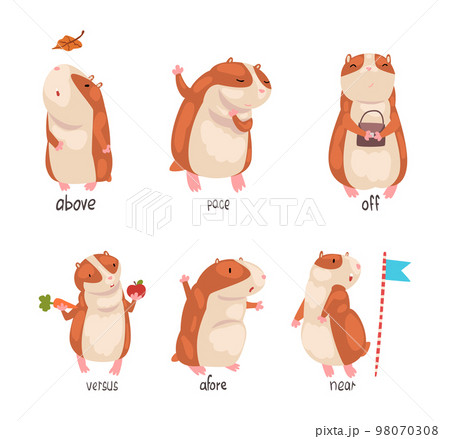 Cute hamster demonstrating English language prepositions of place set. Above, pace, off, versus, afore words. Educational material for kids education cartoon vector illustration 98070308