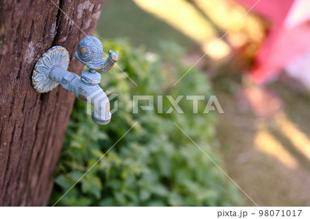 カタツムリデザインの蛇口 カタツムリデザインの蛇口 98071017