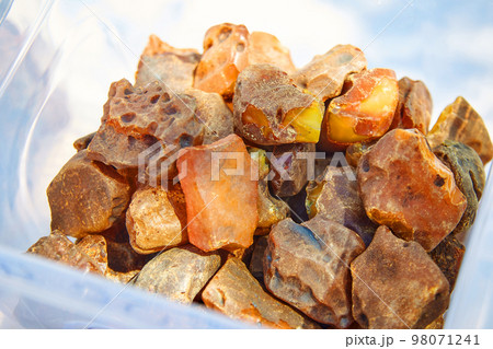 amber fossil resin amber fossil resin 98071241