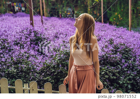 Young woman on lavender field. Lavender farm concept 98071552