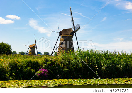 Summer landscape with a view of windmills in Kinderdijk Summer landscape with a view of windmills in Kinderdijk 98071789