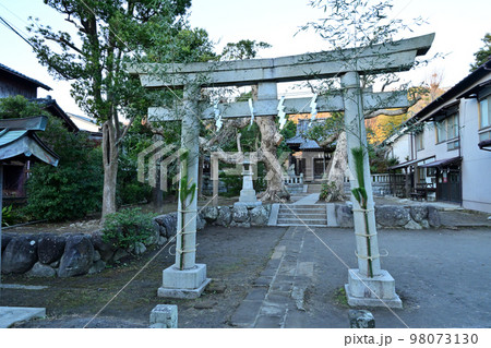 鎌倉八坂大神 鎌倉八坂大神 98073130