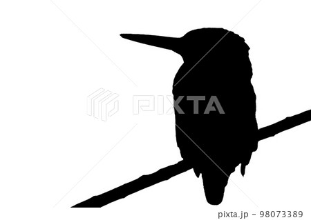 翡翠シルエット 98073389