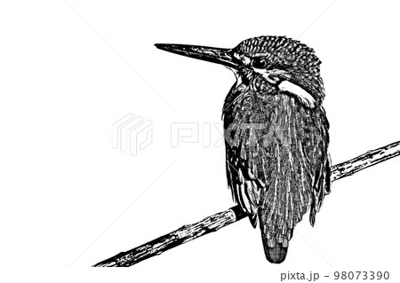 翡翠イラスト 線画 翡翠イラスト 線画 98073390