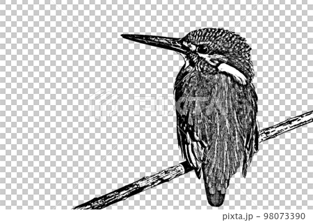 翡翠イラスト 線画 翡翠イラスト 線画 98073390