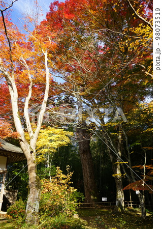 世界遺産中尊寺　大長寿院の紅葉 98073519