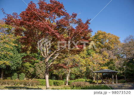 大庭城址公園　神奈川県藤沢市大庭字城山 98073520