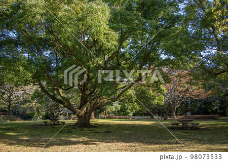 大庭城址公園　神奈川県藤沢市大庭字城山 98073533