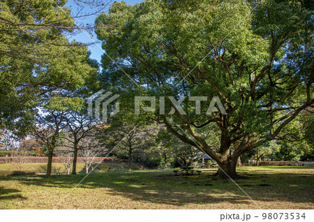大庭城址公園　神奈川県藤沢市大庭字城山 98073534