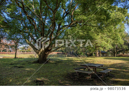 大庭城址公園　神奈川県藤沢市大庭字城山 98073536
