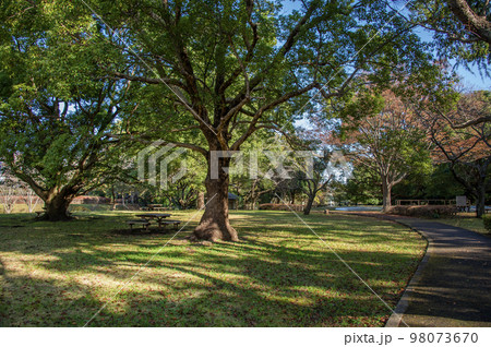 大庭城址公園　神奈川県藤沢市大庭 98073670