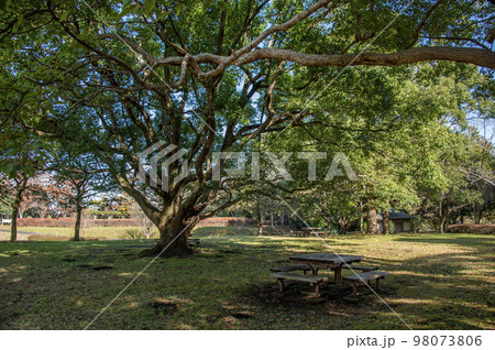 大庭城址公園　神奈川県藤沢市大庭城山 98073806