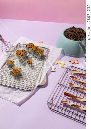 creative concept photo of healthy pet dog food and treats 98074239