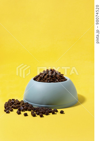 creative concept photo of healthy pet dog food and treats creative concept photo of healthy pet dog food and treats 98074520