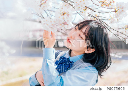 桜と高校生 98075606