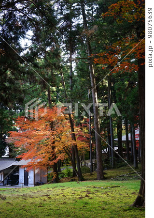 世界遺産 関山中尊寺 98075639