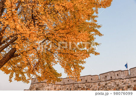 autumn landscape, scenery of Suwon Hwaseong in Korea 98076099
