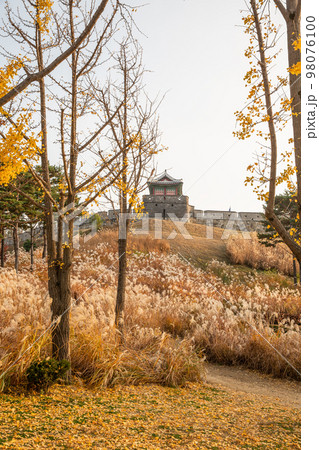 autumn landscape, scenery of Suwon Hwaseong in Korea 98076100