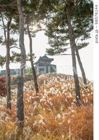 autumn landscape, scenery of Suwon Hwaseong in Korea autumn landscape, scenery of Suwon Hwaseong in Korea 98076144