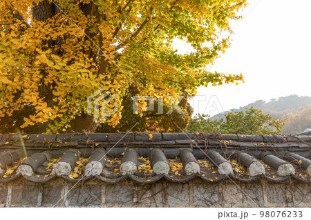 autumn landscape, scenery of Suwon Hwaseong in Korea 98076233