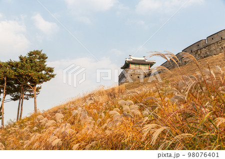 autumn landscape, scenery of Suwon Hwaseong in Korea 98076401