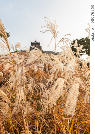 autumn landscape, scenery of Suwon Hwaseong in Korea autumn landscape, scenery of Suwon Hwaseong in Korea 98076559