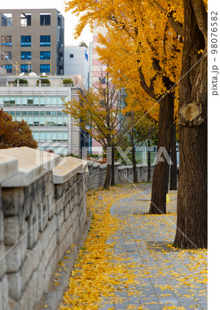 cute animal 3d character series_feed 98076582