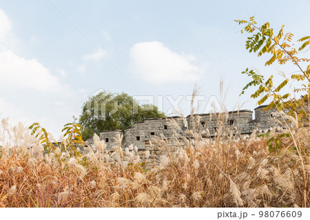 autumn landscape, scenery of Suwon Hwaseong in Korea 98076609