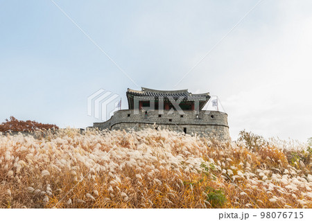 autumn landscape, scenery of Suwon Hwaseong in Korea 98076715