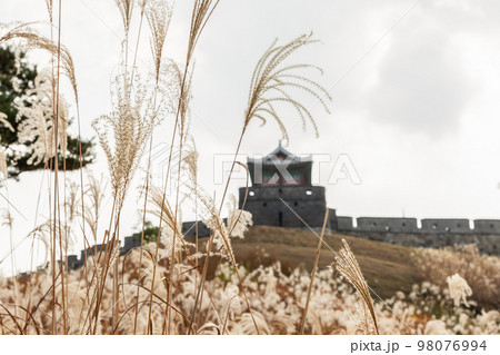 autumn landscape, scenery of Suwon Hwaseong in Korea 98076994