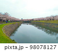 青空と桜と川 98078127