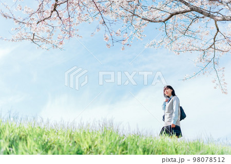 桜の咲いた河川敷を通学する女子高生 98078512