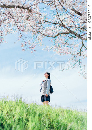 桜の咲いた河川敷を通学する女子高生 桜の咲いた河川敷を通学する女子高生 98078516